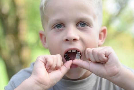Šeivamedžio skanumynų dirbtuvės