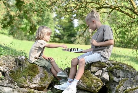 Šeivamedžio skanumynų dirbtuvės