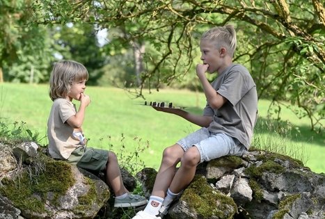 Šeivamedžio skanumynų dirbtuvės