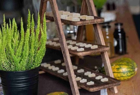 Discover the secrets of elderberry in Panekelpiai