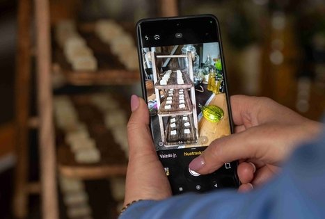 Discover the secrets of elderberry in Panekelpiai