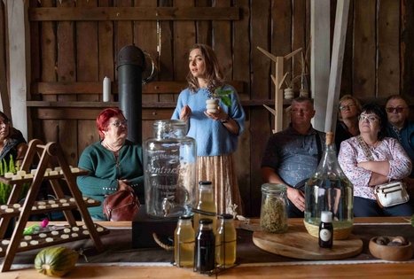 Discover the secrets of elderberry in Panekelpiai