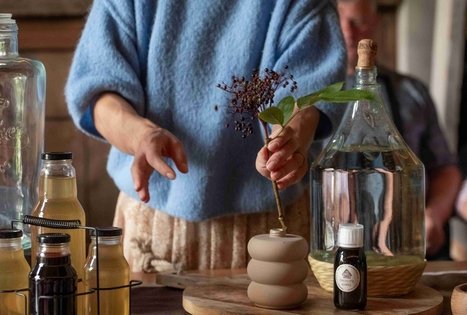 Discover the secrets of elderberry in Panekelpiai