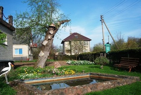 The oldest apple tree in Lithuania