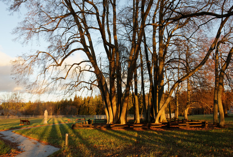 Sirvėtos regioninis parkas