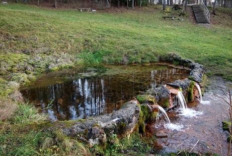 Sirvėtos regioninis parkas