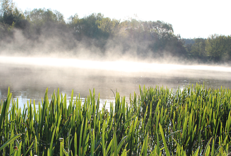 Širvintos kraštovaizdžio draustinis