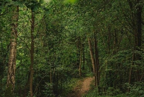 Škėvonys educational trail