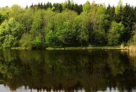 Skinderiskis Dendrological Park