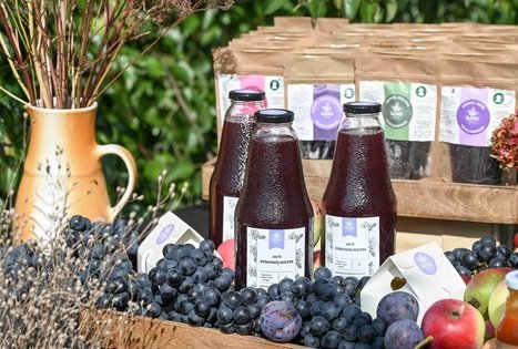 Berry and fruit path