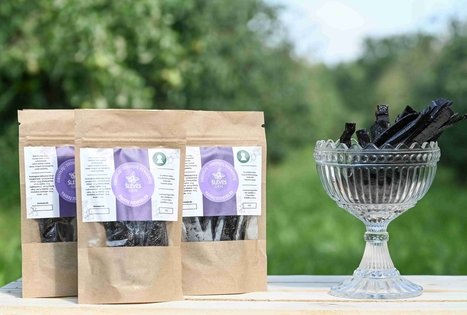 Berry and fruit path