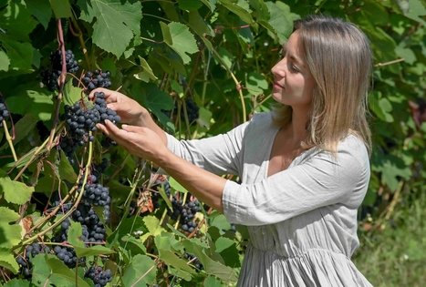 Berry and fruit path