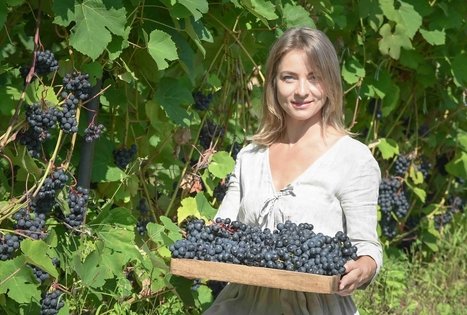 Berry and fruit path