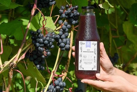 Berry and fruit path