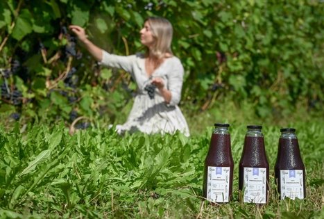 Berry and fruit path