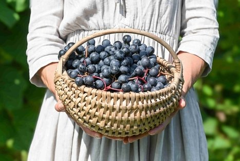Berry and fruit path