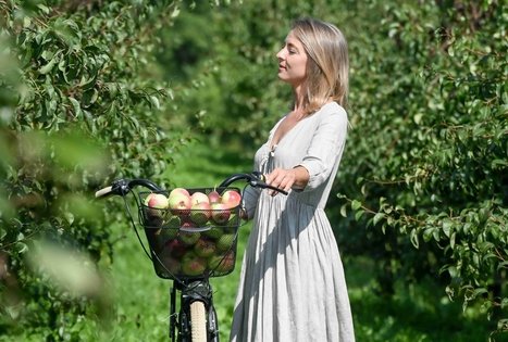 Berry and fruit path