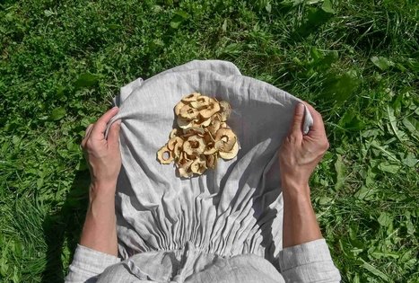 Berry and fruit path