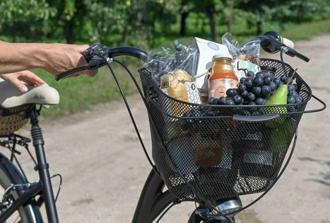 Berry and fruit path