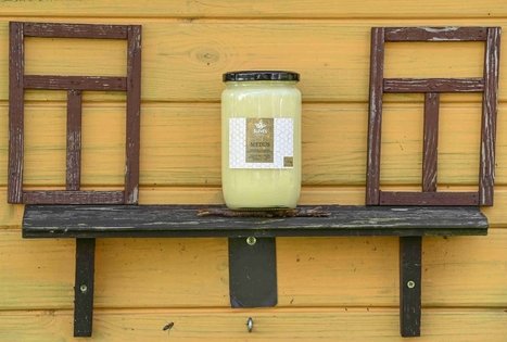 Berry and fruit path