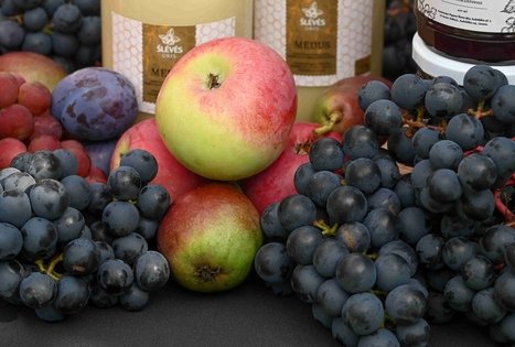 Berry and fruit path