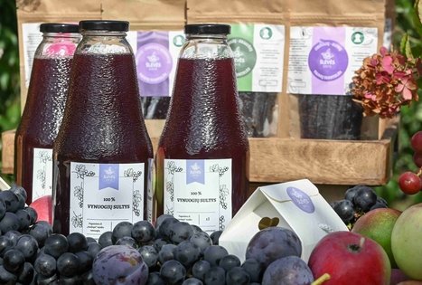 Berry and fruit path