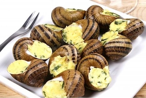 Sraigių ūkis „Aspersa“