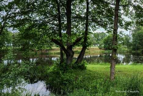 Sodyba „Narūnas“