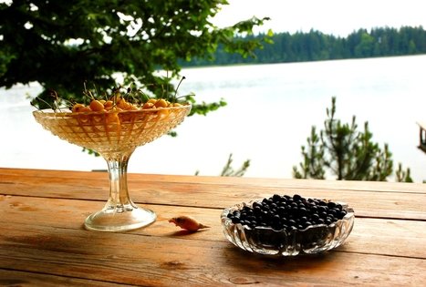 Sodyba „Pas tėvukus“