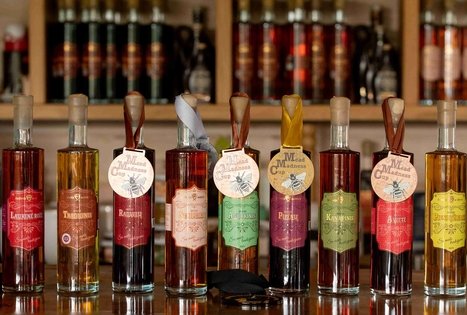 Stories of Šušvė: traditions of bees, honey and mead