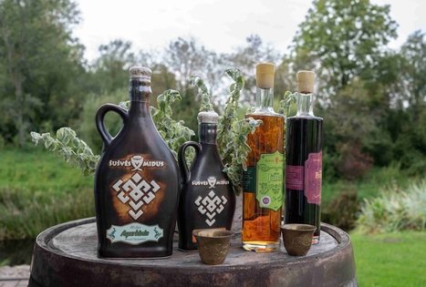 Stories of Šušvė: traditions of bees, honey and mead