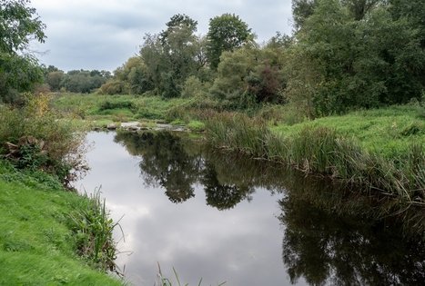 Homestead "Šušvė"