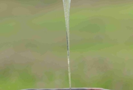 Stories of Šušvė: traditions of bees, honey and mead