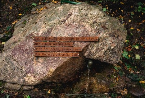 Forest Trail 69. Kirkšnovė – Kaulakiai.