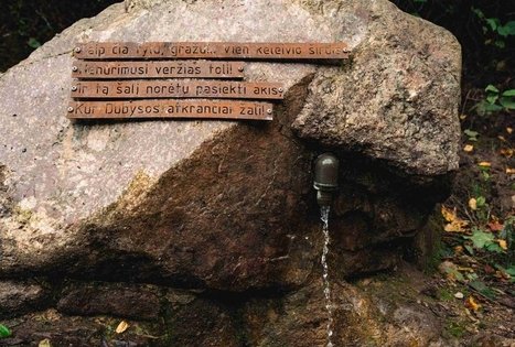 Forest Trail 69. Kirkšnovė – Kaulakiai.