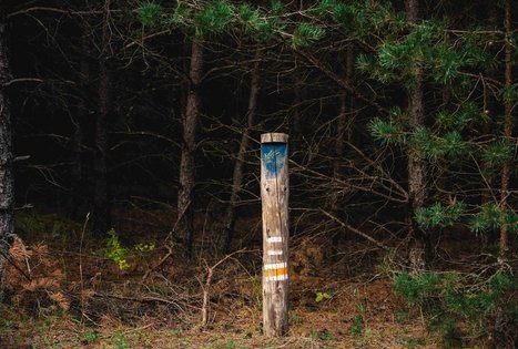 Forest Trail 69. Kirkšnovė – Kaulakiai.