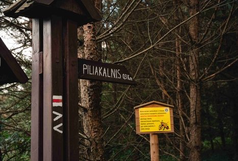 Forest Trail 69. Kirkšnovė – Kaulakiai.