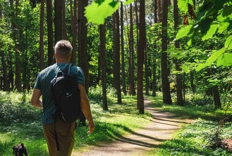 Forest Trail 60. Birštonas – Alksniakiemis.