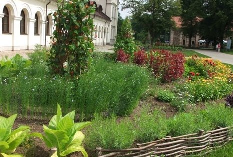 Traupis Botanical Garden