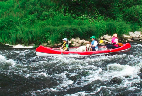 Plaukimas triviete kanoja