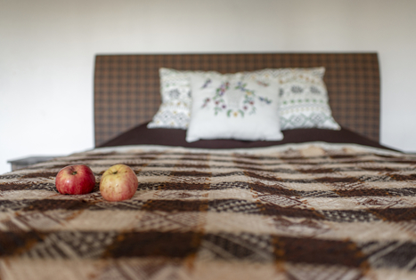 Sodyba „Pagulbis“