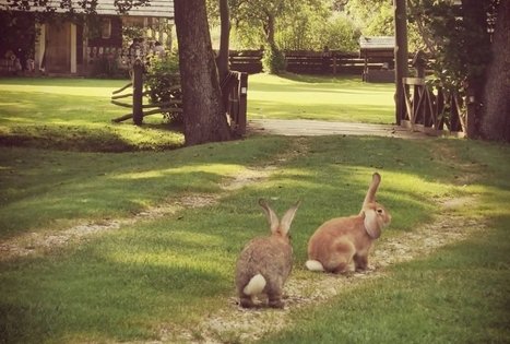 Sodyba „Gervių giesmė“