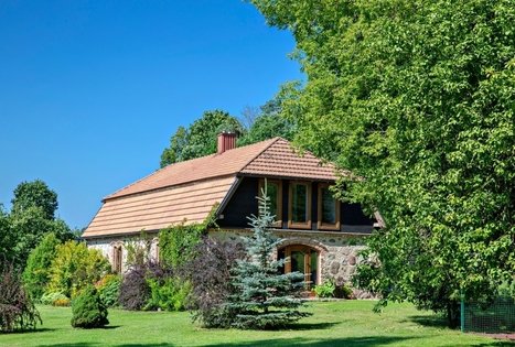 Tea tasting in homestead "Apyniu namai"
