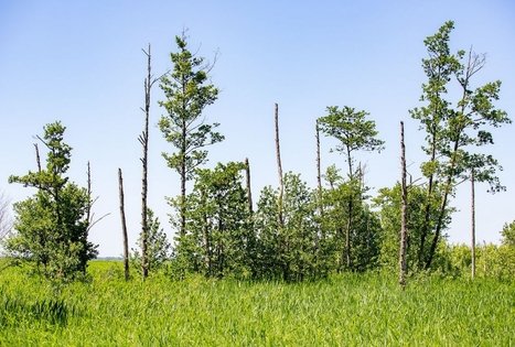 Tulkiaragė Educational Trail