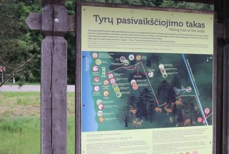 Tyrų Pažintinis Takas | Atostogos Kaime