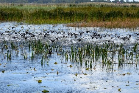Vietinis kelionių organizatorius „Upaitė“