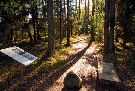 Educational Path through Uzusiliai Forest