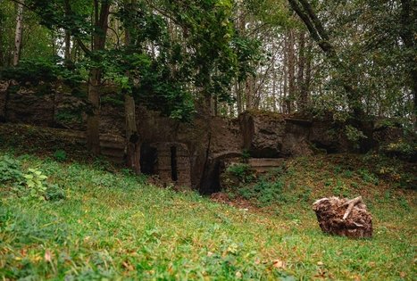 “Vaišvydavos blindažas”