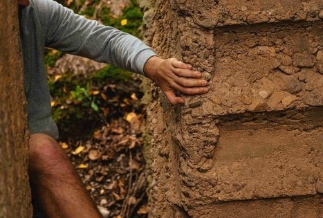 Forest Trail 62. Pakuonis – Vaišvydava.