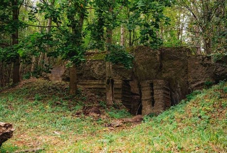 Forest Trail 62. Pakuonis – Vaišvydava.